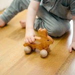 Bannor Toys Bunny Push Wooden Baby and Kids Toy - Flying Ryno